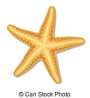 Starfish clipart #9, Download drawings