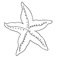 Starfish coloring #17, Download drawings