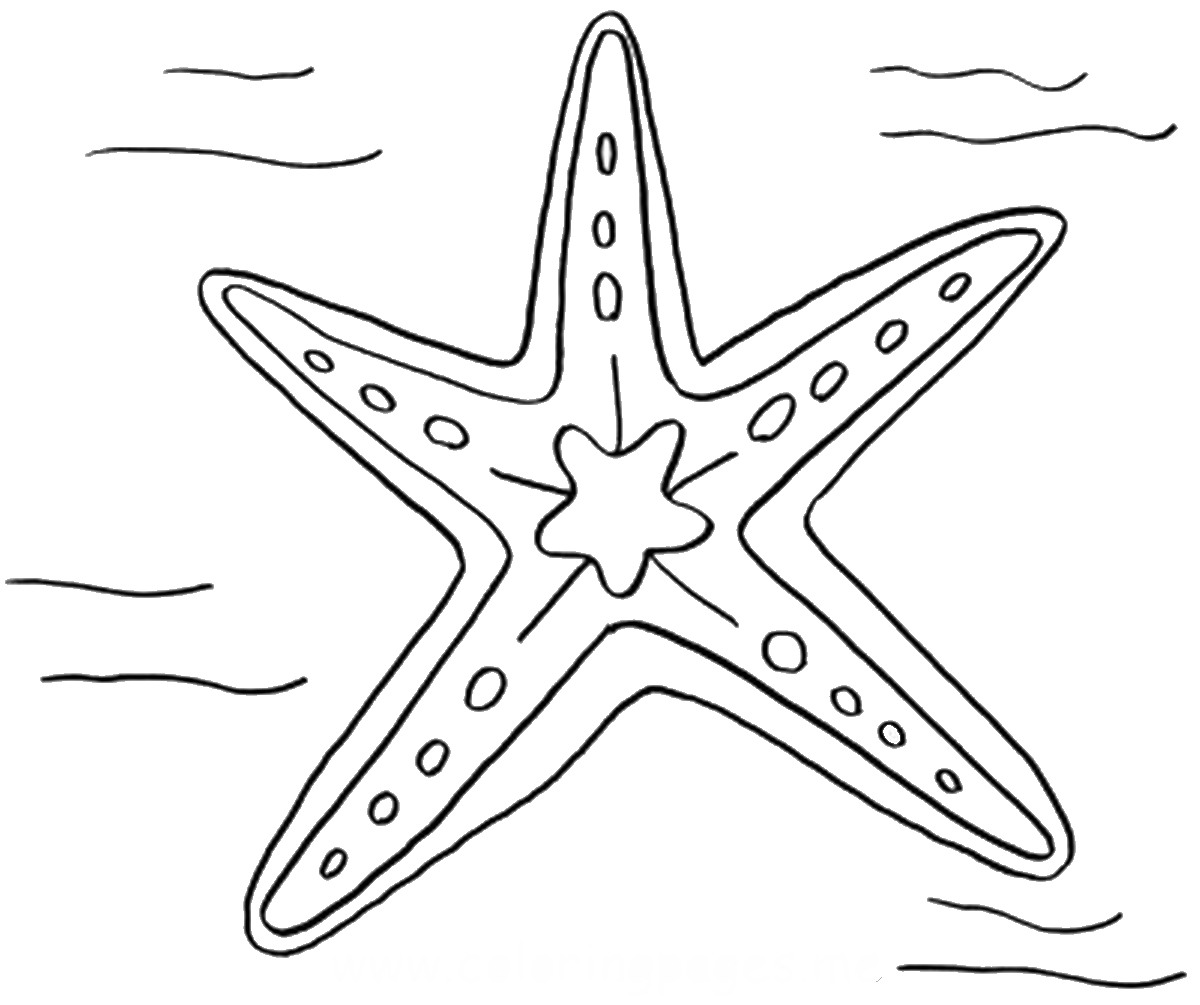 Starfish coloring #7, Download drawings