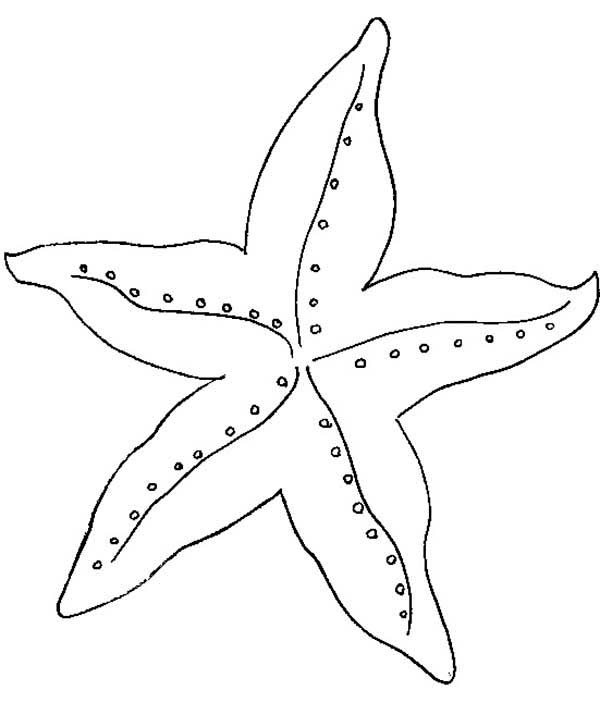 Starfish coloring #1, Download drawings