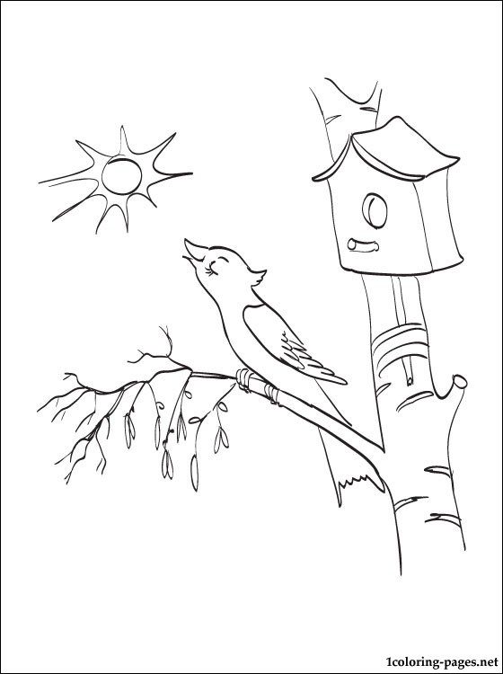 Starling coloring #6, Download drawings