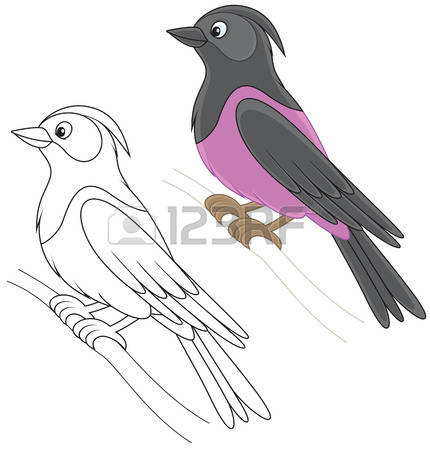 Starling coloring #15, Download drawings