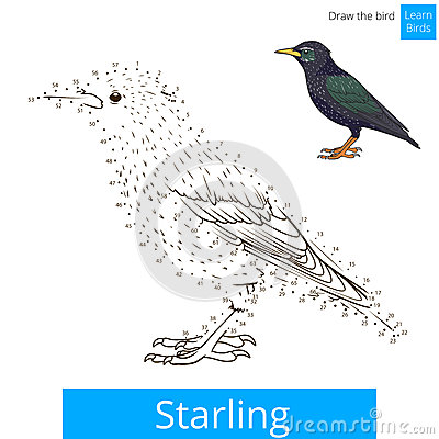 Starling coloring #12, Download drawings