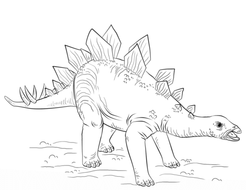 Stegosaurus coloring #19, Download drawings