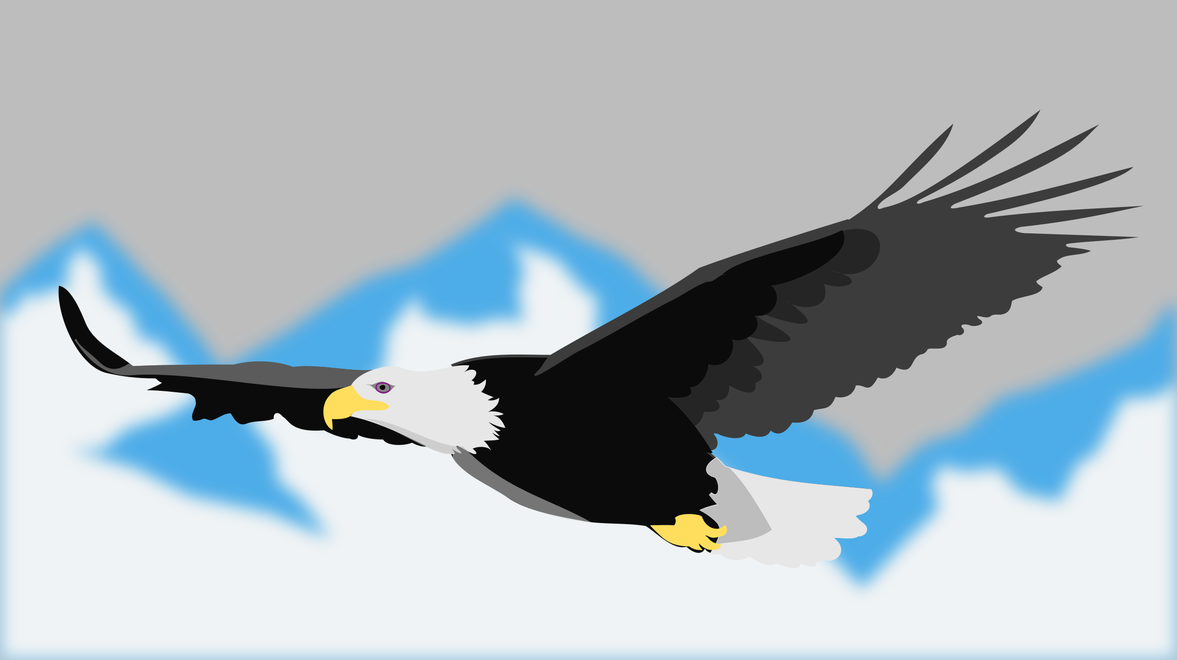 Steller's Sea Eagle svg #7, Download drawings