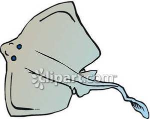 Stingray clipart #11, Download drawings