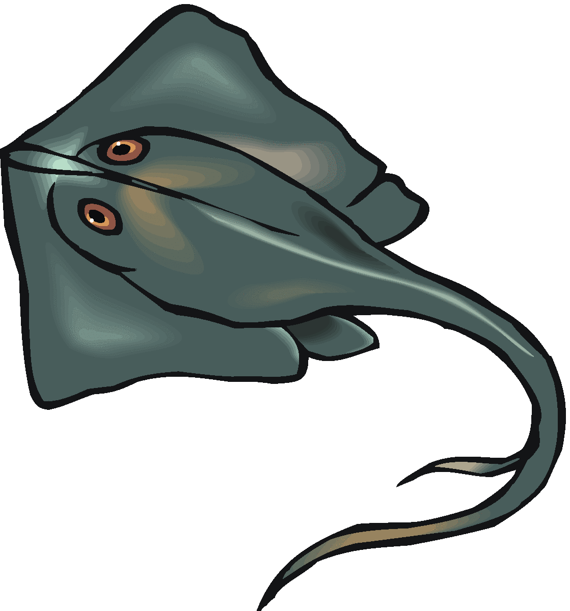 Stingray clipart #5, Download drawings