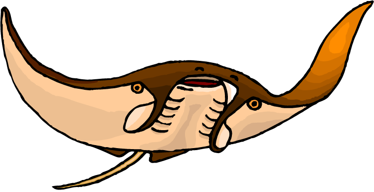 Stingray clipart #1, Download drawings