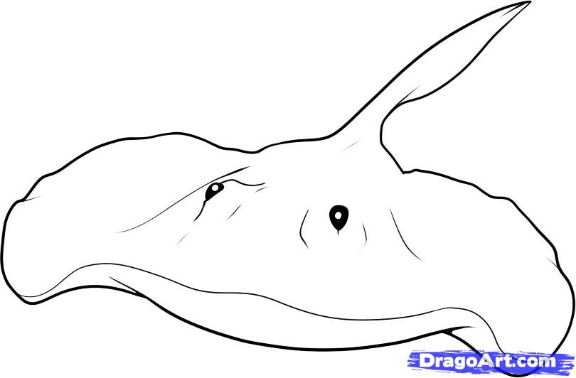 Stingray coloring #6, Download drawings