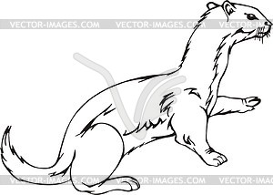 The Stoat clipart #4, Download drawings