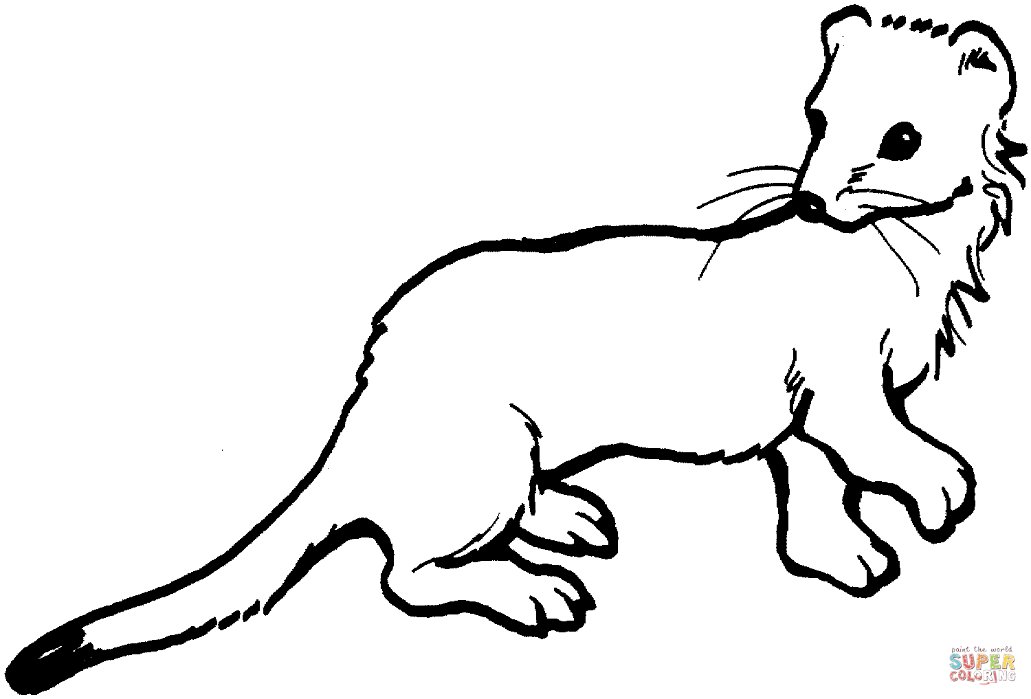 Weasel coloring #1, Download drawings
