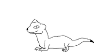 The Stoat coloring #20, Download drawings