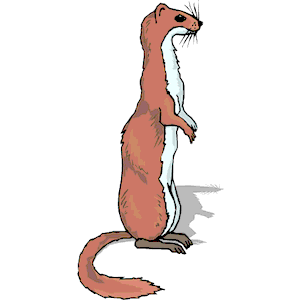 Stoat svg #1, Download drawings
