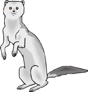 Stoat svg #18, Download drawings