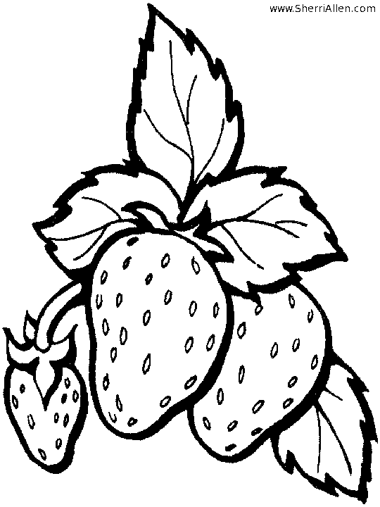Strawberry coloring #9, Download drawings