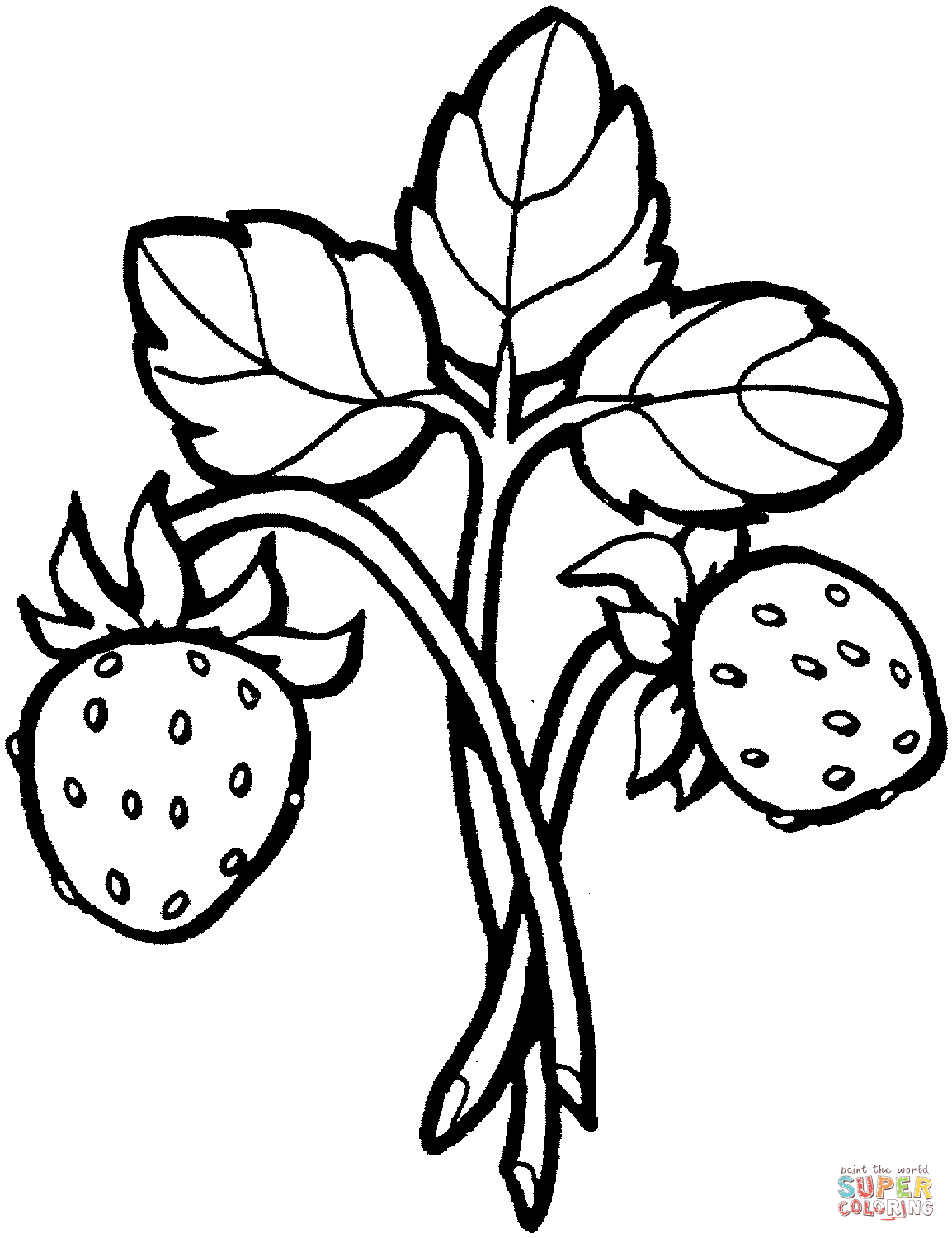 Strawberry coloring #18, Download drawings