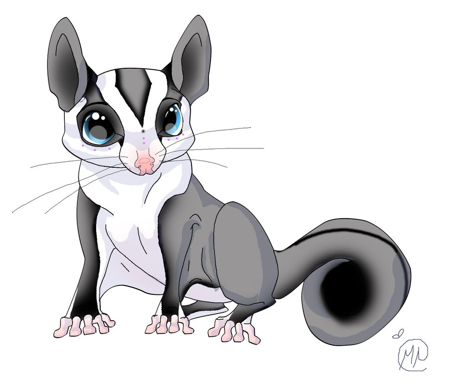 Sugar Glider clipart #1, Download drawings