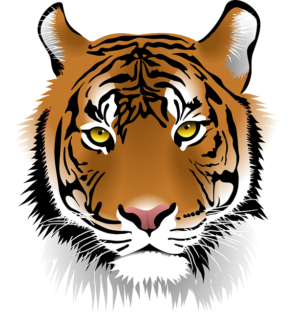 Sumatran Tiger svg #16, Download drawings