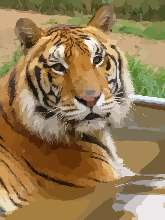 Sumatran Tiger svg #4, Download drawings