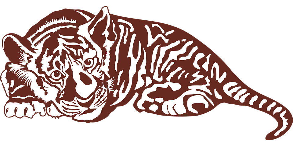 Sumatran Tiger svg #17, Download drawings