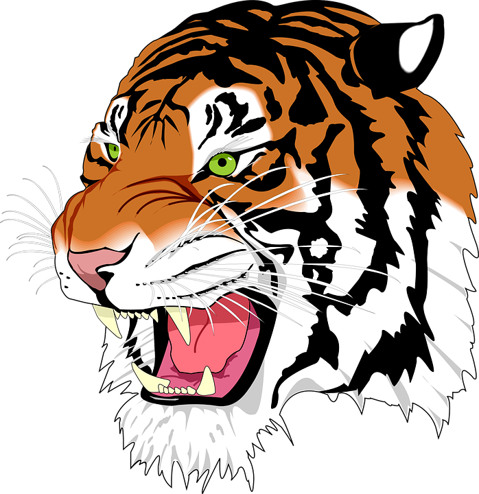 Sumatran Tiger svg #18, Download drawings