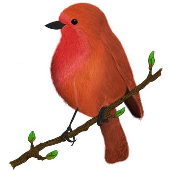 Summer Tanager svg #20, Download drawings