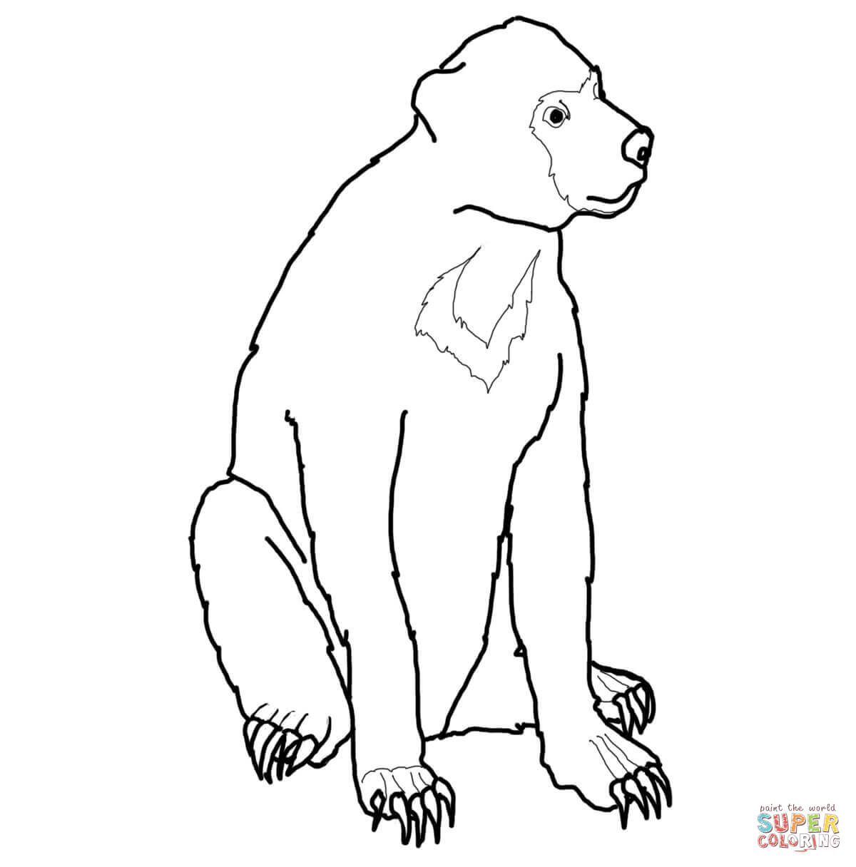 Sun Bear coloring #12, Download drawings