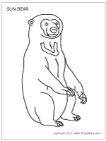 Sun Bear coloring #13, Download drawings