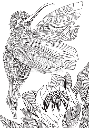 Sunbird coloring #15, Download drawings