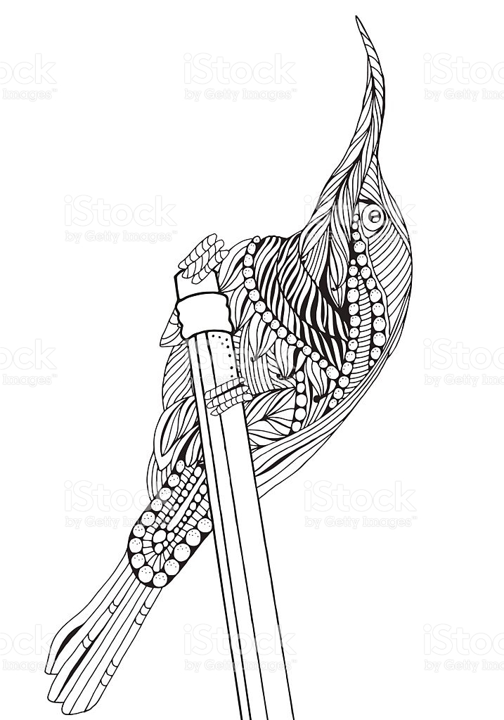 Sunbird coloring #19, Download drawings