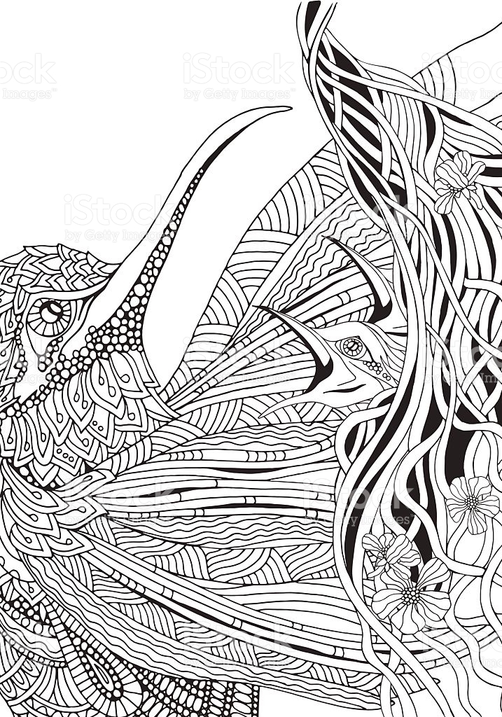 Sunbird coloring #9, Download drawings
