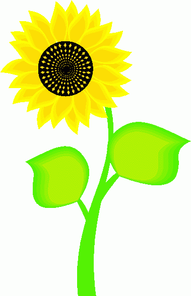 Sunflower clipart #13, Download drawings