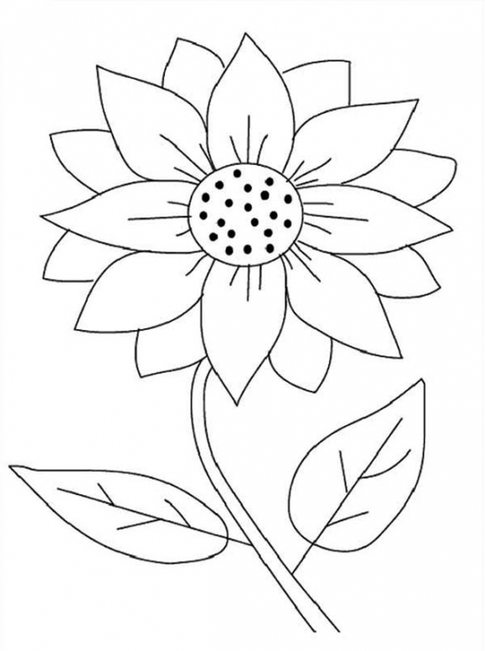 Sunflower coloring #6, Download drawings