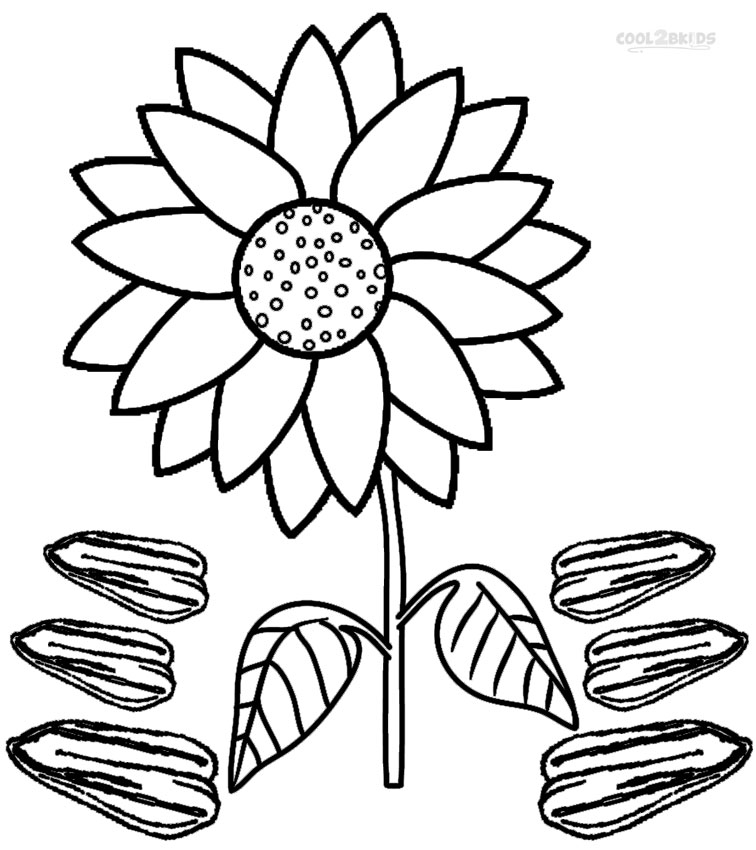 Sunflower coloring #3, Download drawings