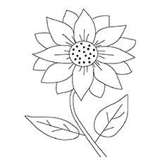 Sunflower coloring #18, Download drawings