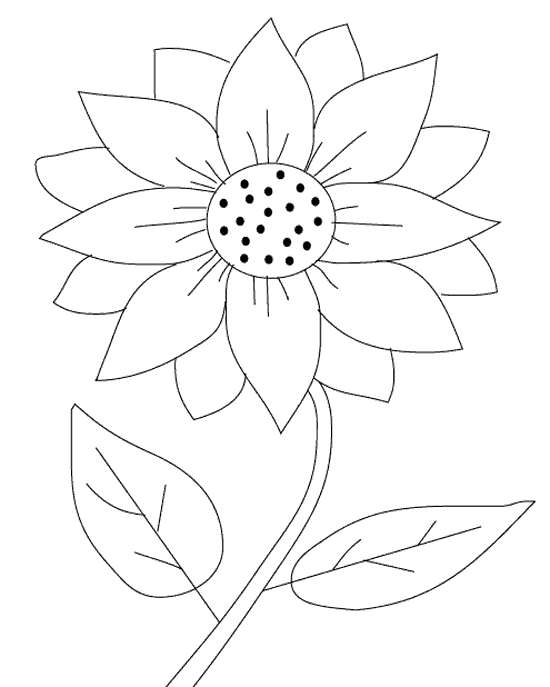 Sunflower coloring #14, Download drawings