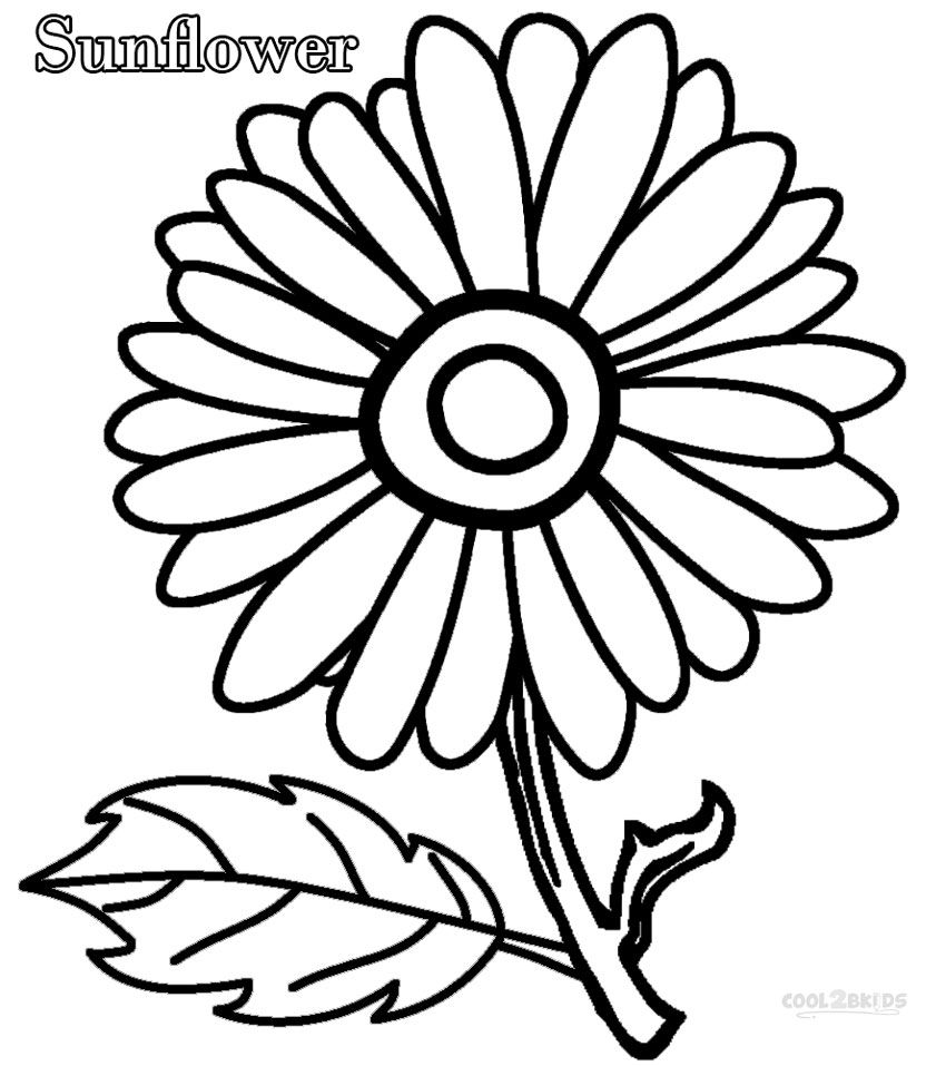 Sunflower coloring #12, Download drawings