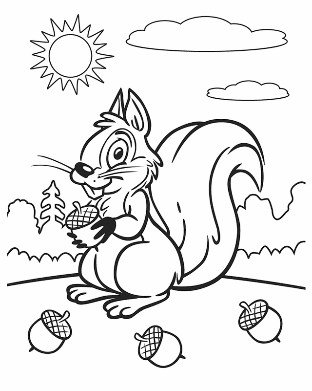 Gray Squirrel coloring #14, Download drawings