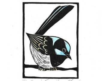 Superb Fairywren coloring #10, Download drawings