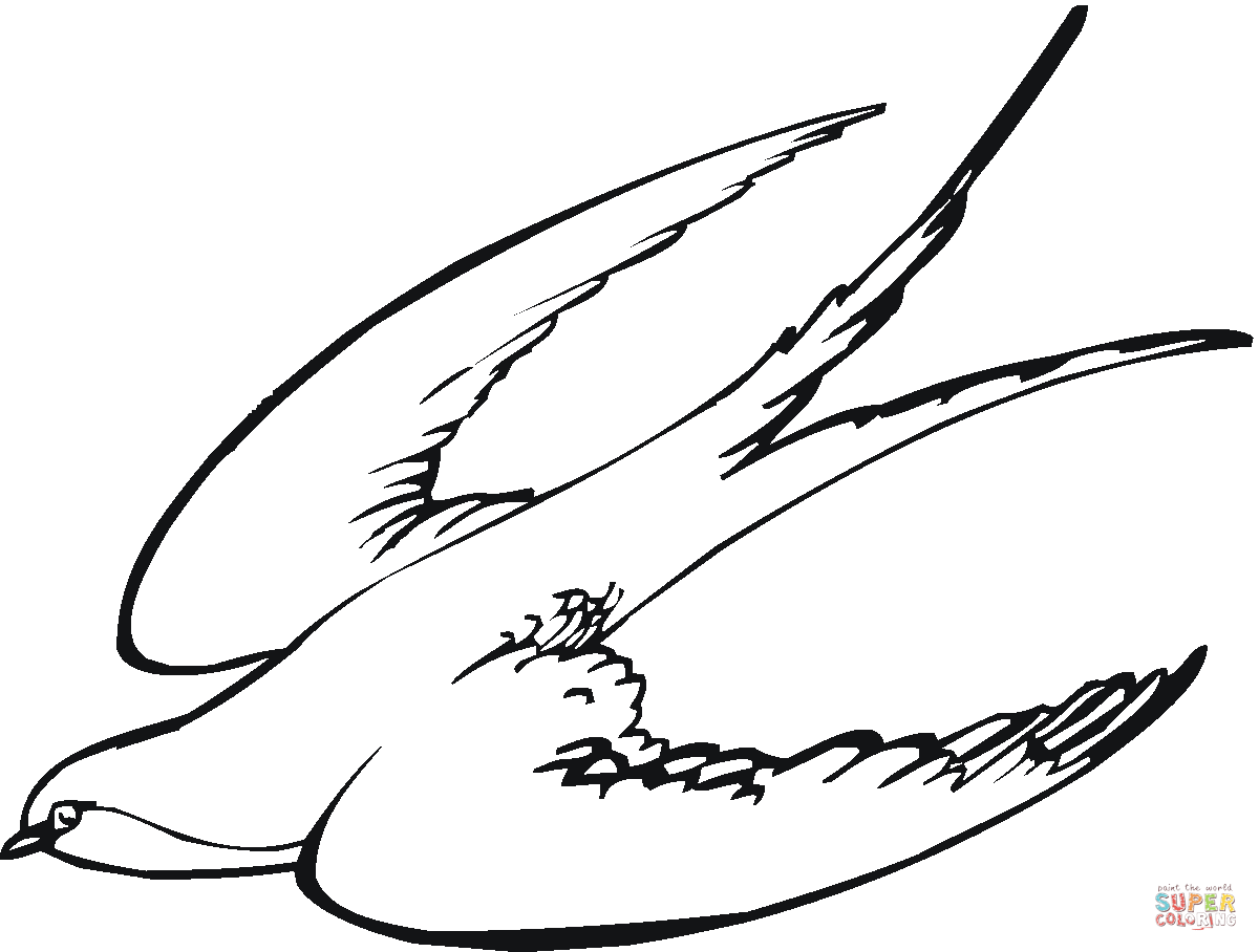 Swallow coloring #15, Download drawings