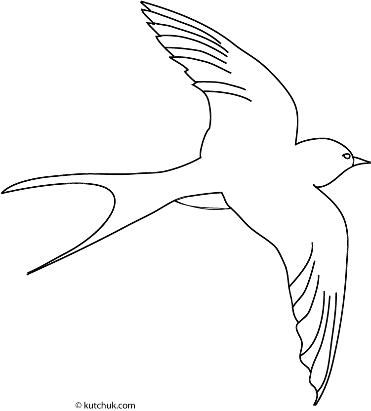 Swallow coloring #7, Download drawings