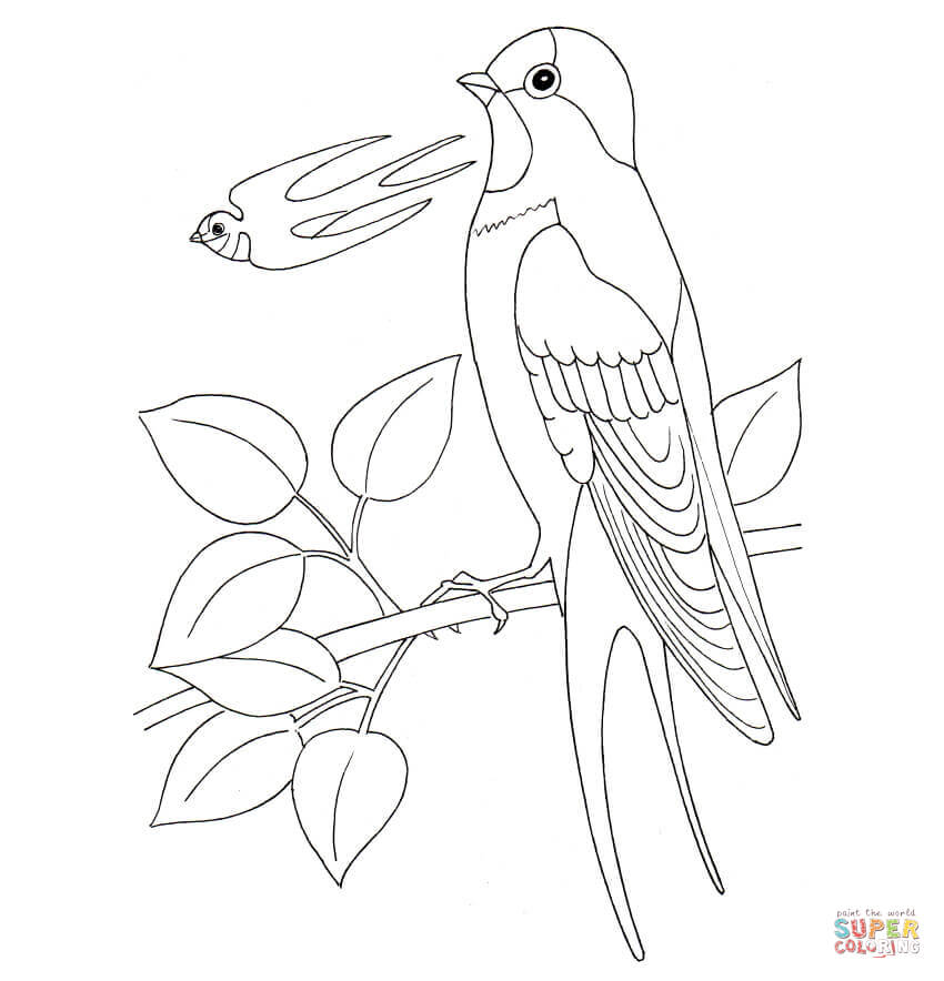 Swallow coloring #3, Download drawings
