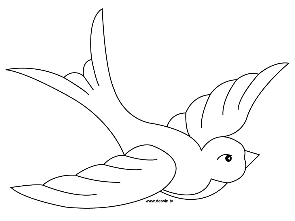 Swallow coloring #19, Download drawings