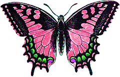 Swallowtail Butterfly clipart #3, Download drawings