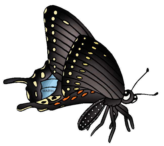 Swallowtail Butterfly clipart #4, Download drawings
