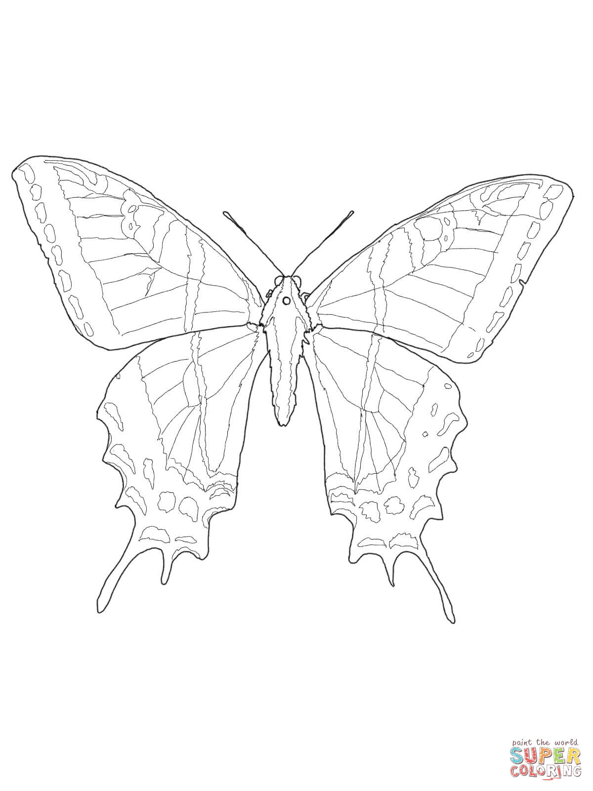 Swallowtail Butterfly coloring #4, Download drawings
