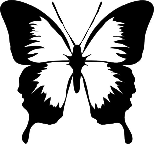 Swallowtail Butterfly svg #13, Download drawings