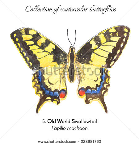 Swallowtail Butterfly svg #15, Download drawings