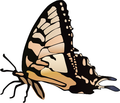 Swallowtail Butterfly svg #20, Download drawings