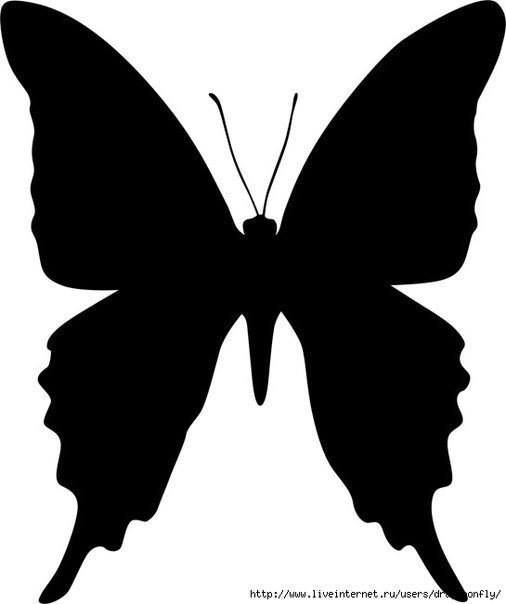 Swallowtail Butterfly svg #16, Download drawings